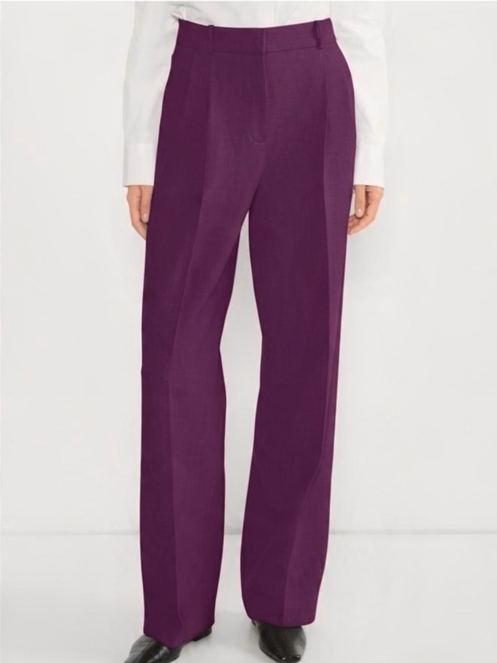 Aritzia Babaton Pleated Pant in Plum | Size 6